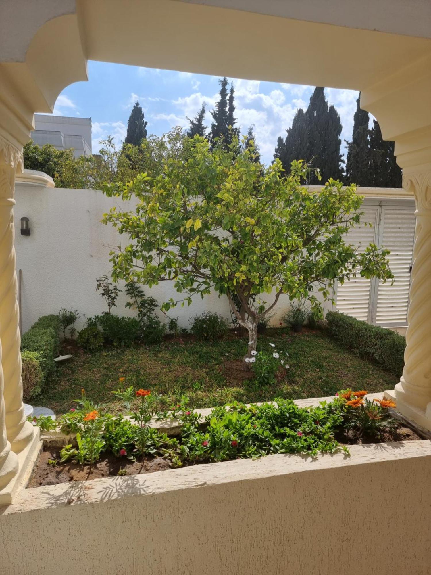 Appartements De Luxe Pres De La Mer Nabeul Kültér fotó
