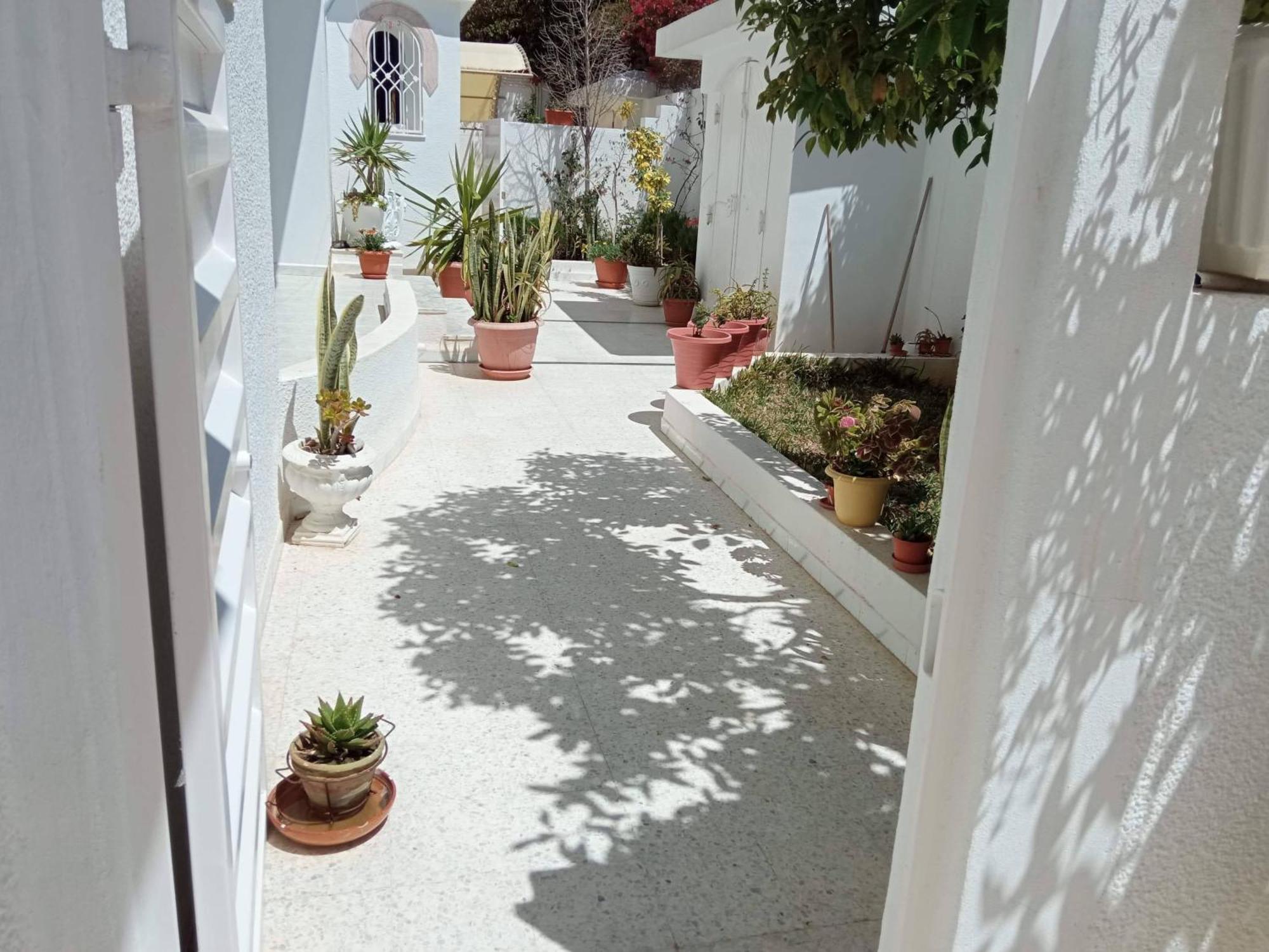 Appartements De Luxe Pres De La Mer Nabeul Kültér fotó
